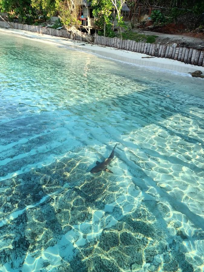 Warahnus Dive Homestay Kri Extérieur photo